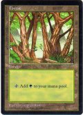 森/Forest (APAC Land 青)