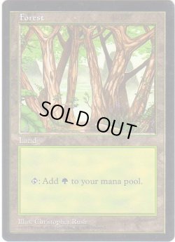 画像1: 森/Forest (APAC Land 青)