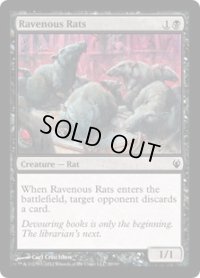 貪欲なるネズミ/Ravenous Rats (DDJ)