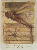 昆虫/Insect (Terese Nielsen Token)
