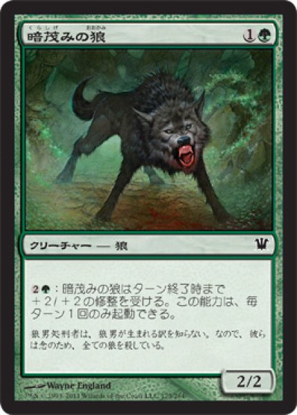 画像1: 暗茂みの狼/Darkthicket Wolf (ISD) (1)