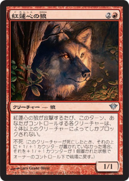 画像1: 紅蓮心の狼/Pyreheart Wolf (DKA) (1)