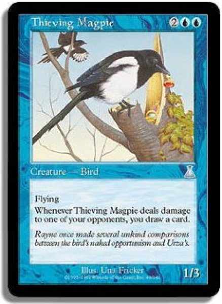 画像1: 泥棒カササギ/Thieving Magpie (UDS) (1)