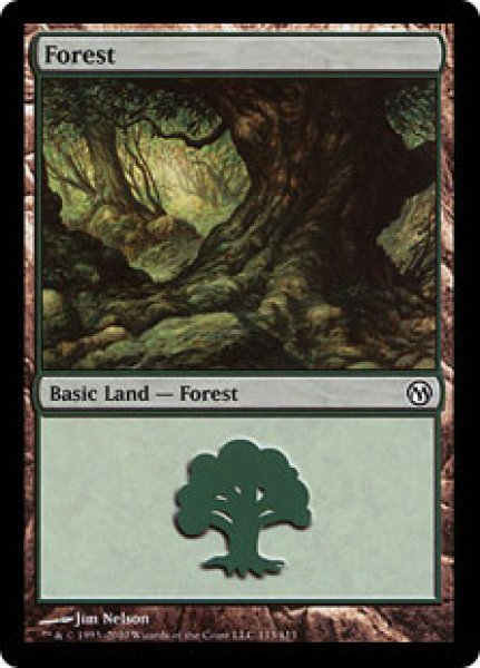 画像1: 森/Forest【Ver.4】(Duels of the Planeswalkers) (1)