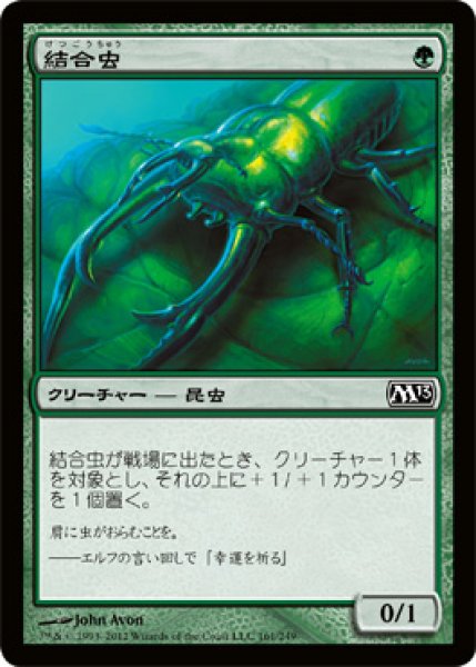 画像1: 結合虫/Bond Beetle (M13) (1)