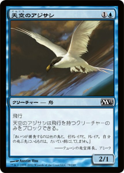 画像1: 天空のアジサシ/Welkin Tern (M13) (1)