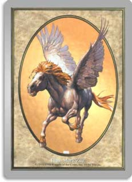 画像1: ペガサス トークン/Pegasus Token (UGL） (1)