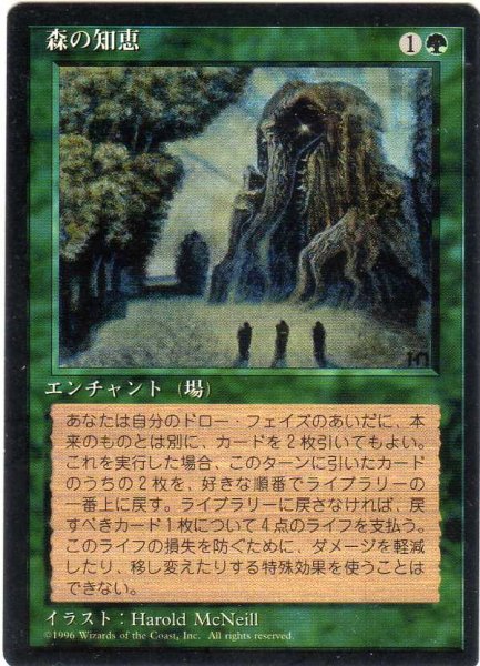 画像1: 森の知恵/Sylvan Library【日本語：黒枠】(4ED) (1)