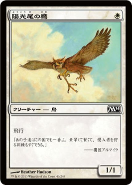 画像1: 陽光尾の鷹/Suntail Hawk (M14) (1)