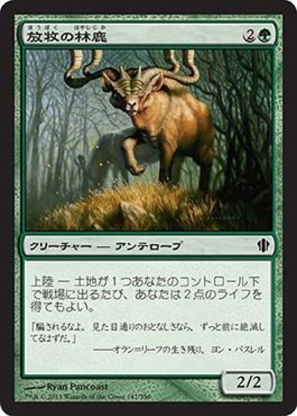 画像1: 放牧の林鹿/Grazing Gladehart (C13) (1)