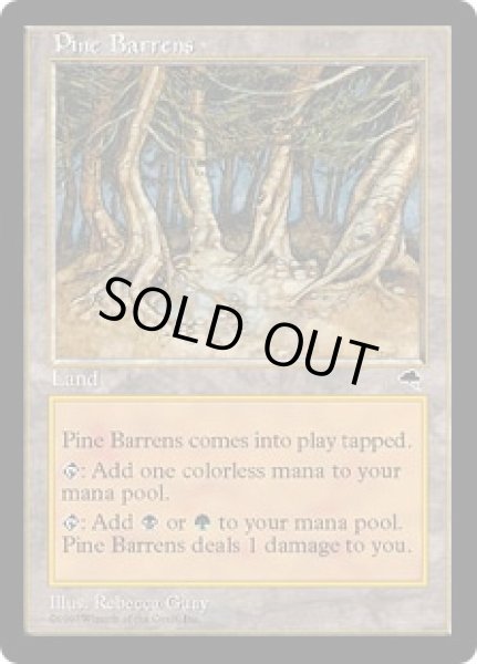 画像1: 松のやせ地/Pine Barrens (TMP) (1)