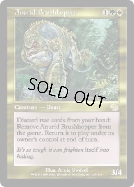 画像1: 藪跳ねアヌーリッド/Anurid Brushhopper (JUD) (1)