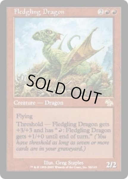 画像1: 巣立つドラゴン/Fledgling Dragon (JUD) (1)