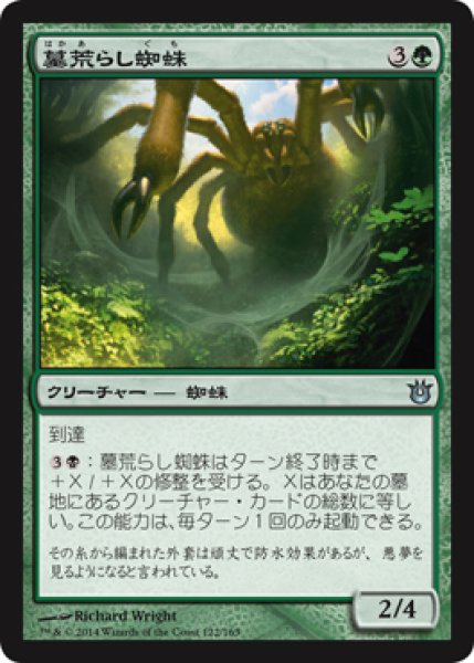 画像1: 墓荒らし蜘蛛/Graverobber Spider (BNG) (1)