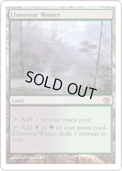 画像1: ラノワールの荒原/Llanowar Wastes (9ED) (1)