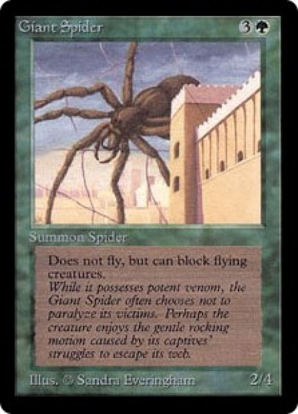 画像1: 大蜘蛛/Giant Spider   (LEB) (1)