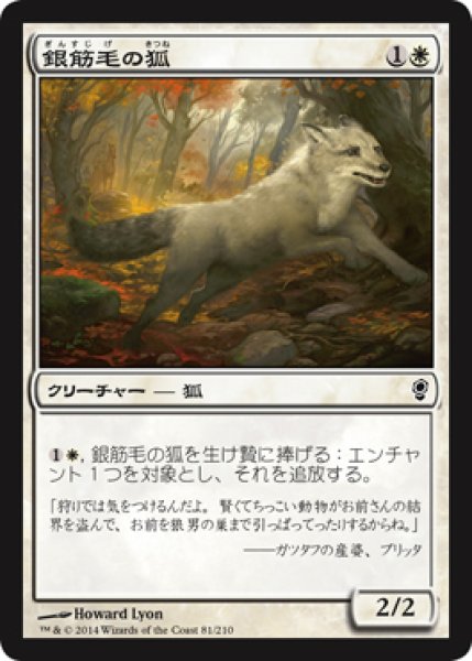 画像1: 銀筋毛の狐/Silverchase Fox (CNS) (1)
