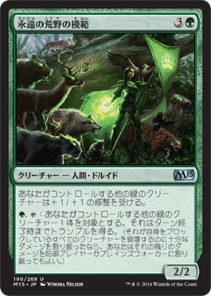 画像1: 永遠の荒野の模範/Paragon of Eternal Wilds (M15) (1)