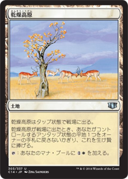 画像1: 乾燥高原/Karoo (C14) (1)