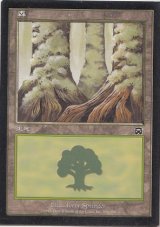 MTG 島　ベータ版　二重印刷エラー　４枚セット m75472478805_1.jpg?1749653400
