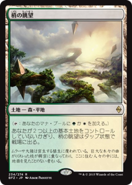 画像1: 梢の眺望/Canopy Vista (BFZ) (1)