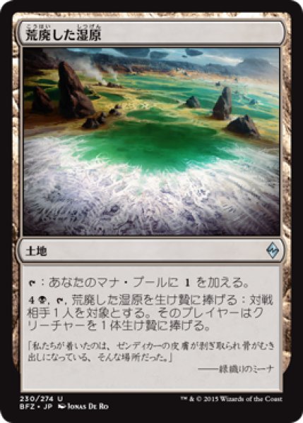 画像1: 荒廃した湿原/Blighted Fen (BFZ) (1)