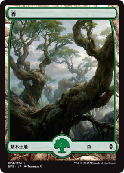 画像1: 森/Forest 【Ver.5】 (BFZ) (1)