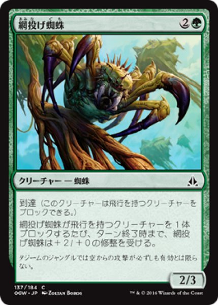 画像1: 網投げ蜘蛛/Netcaster Spider (OGW) (1)