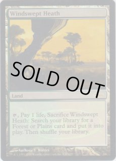 吹きさらしの荒野/Windswept Heath - ジョニーのお店 Magic the Gathering