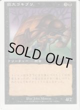 エラーカード - ジョニーのお店 Magic the Gathering (Page 1)