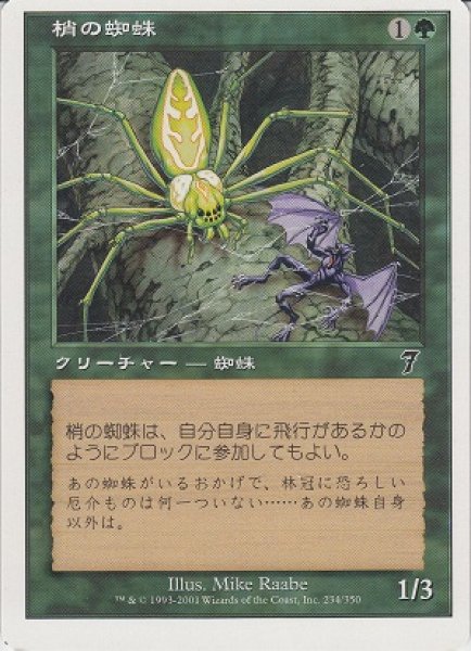 画像1: 梢の蜘蛛/Canopy Spider (7ED)【ミスカット】 (1)
