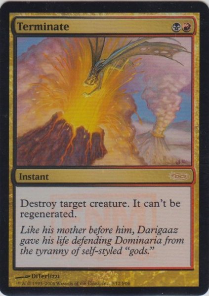 画像1: 終止/Terminate (FNM) (1)