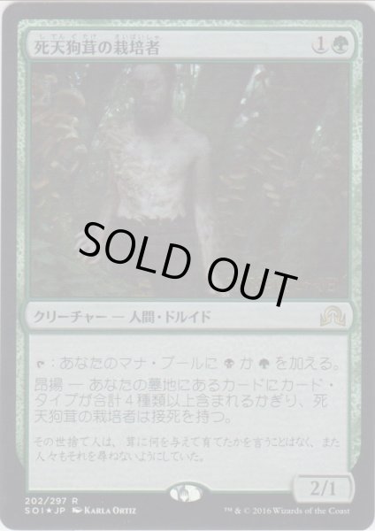 画像1: 死天狗茸の栽培者/Deathcap Cultivator (Prerelease Card) (1)