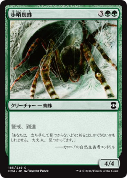 画像1: 歩哨蜘蛛/Sentinel Spider (EMA) (1)