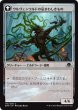 画像2: ウルヴェンワルドに囚われしもの/Ulvenwald Captive (EMN) (2)