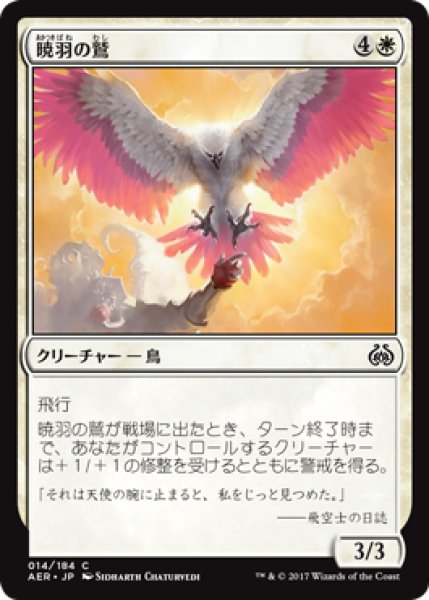 画像1: 暁羽の鷲/Dawnfeather Eagle (AER) (1)