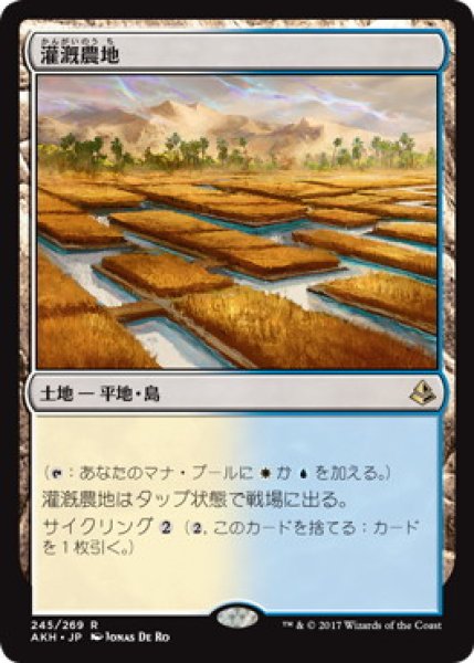 画像1: 灌漑農地/Irrigated Farmland (AKH) (1)