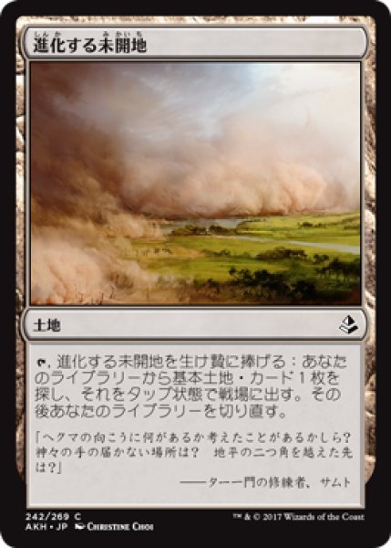 画像1: 進化する未開地/Evolving Wilds (AKH) (1)