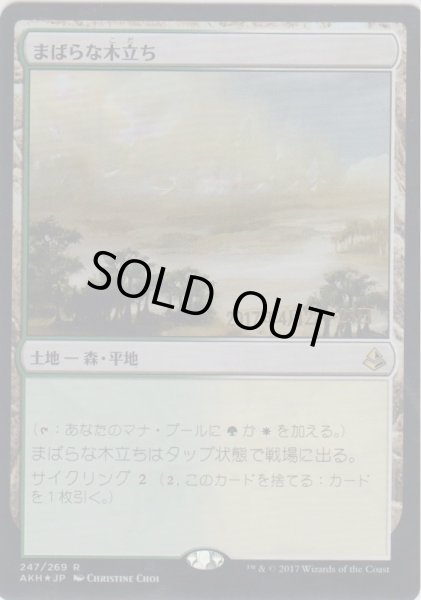 画像1: まばらな木立ち/Scattered Groves (Prerelease Card) (1)