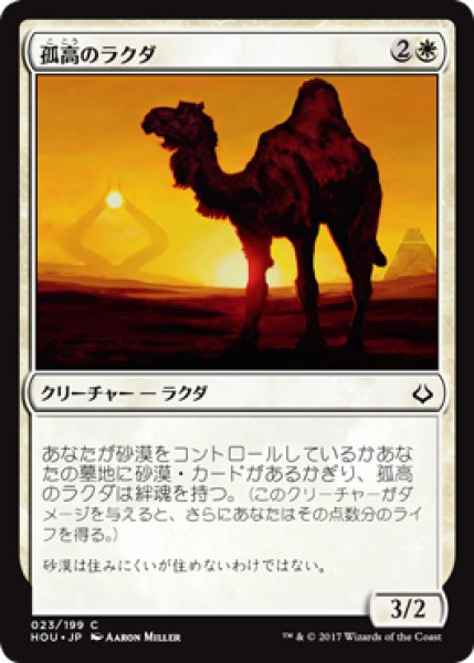 画像1: 孤高のラクダ/Solitary Camel (HOU) (1)