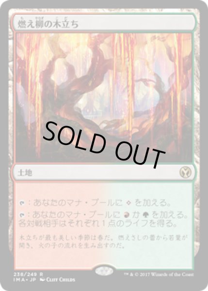 画像1: 燃え柳の木立ち/Grove of the Burnwillows (IMA) (1)