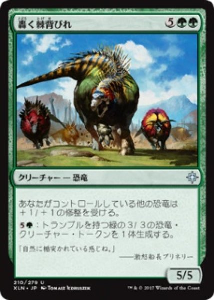 画像1: 轟く棘背びれ/Thundering Spineback (XLN)《Foil》 (1)