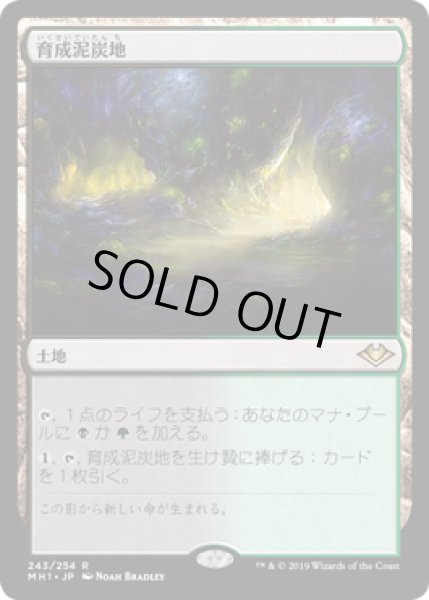 画像1: 育成泥炭地/Nurturing Peatland (MH1) (1)