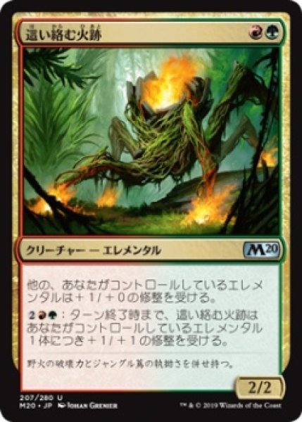 画像1: 這い絡む火跡/Creeping Trailblazer (M20)《Foil》 (1)