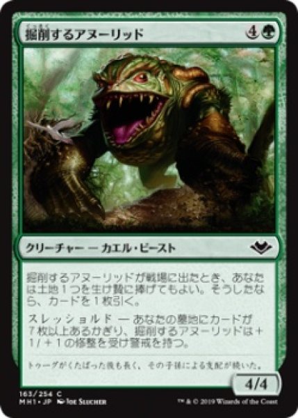 画像1: 掘削するアヌーリッド/Excavating Anurid (MH1)《Foil》 (1)