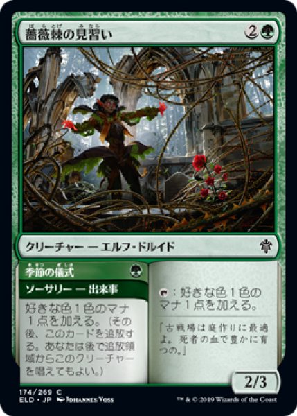 画像1: 薔薇棘の見習い/Rosethorn Acolyte (ELD) (1)