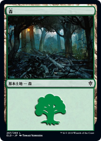 画像1: 森/Forest 【Ver.2】 (ELD)《Foil》 (1)