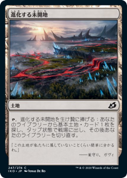 画像1: 進化する未開地/Evolving Wilds (IKO)《Foil》 (1)