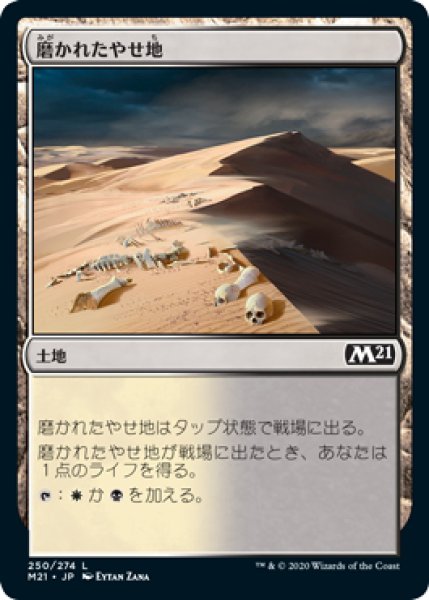 画像1: 磨かれたやせ地/Scoured Barrens (M21)《Foil》 (1)