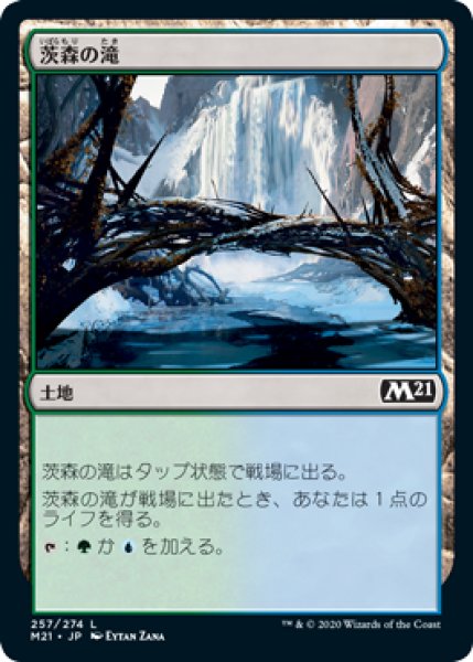 画像1: 茨森の滝/Thornwood Falls (M21)《Foil》 (1)